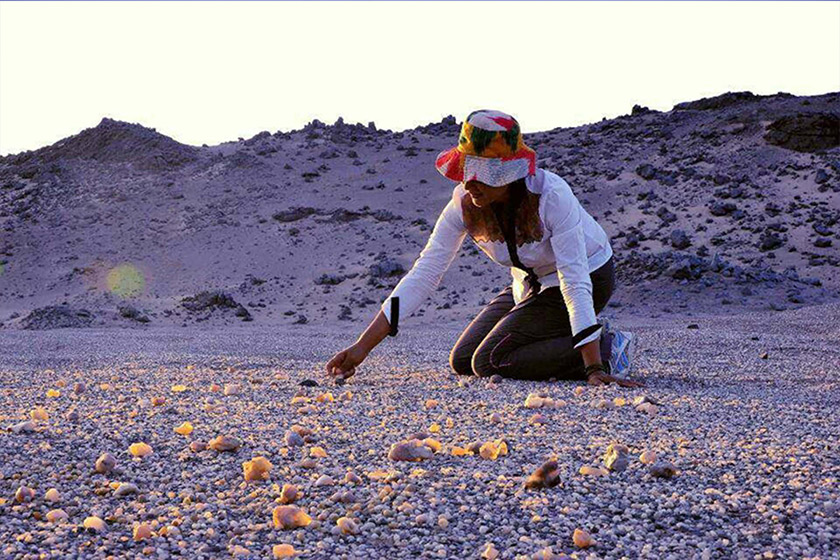 1523433729633050985.jpg 4.jpg