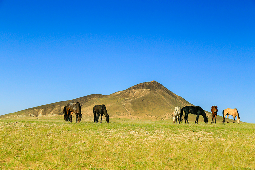 1523432356144005565 (1).jpg